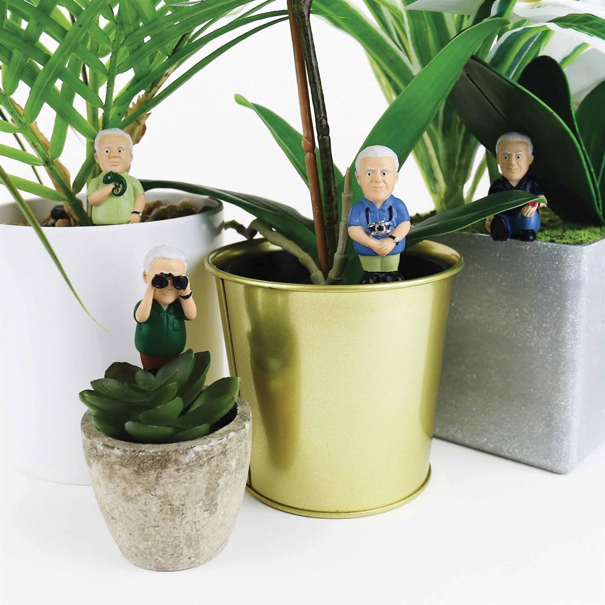 Amazon.com: Gift Republic - Attenborough Explorers Plant Markers